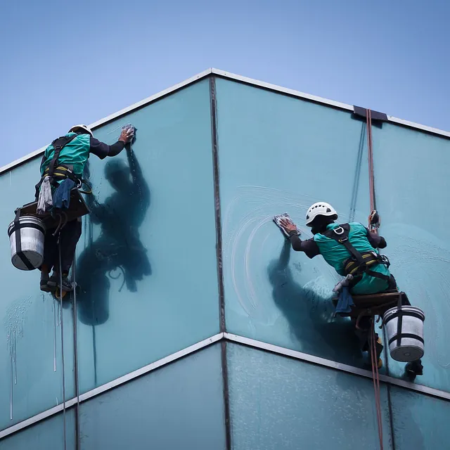 trabajos verticales